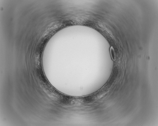 X0000088210599200706051259