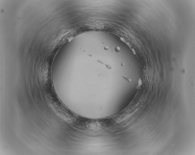 X0000088210600200706051259