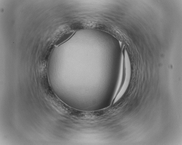 X0000088210601200706051259