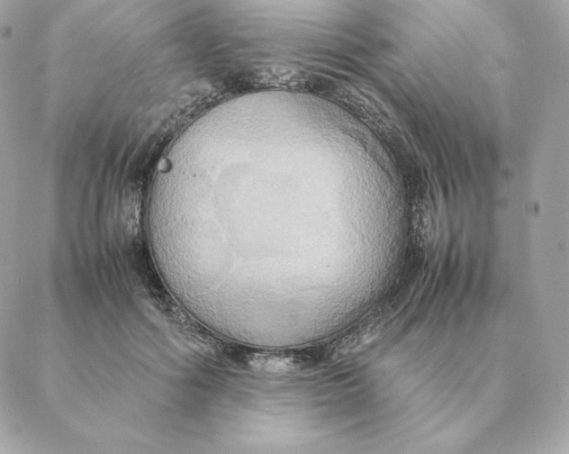 X0000088210602200706051259