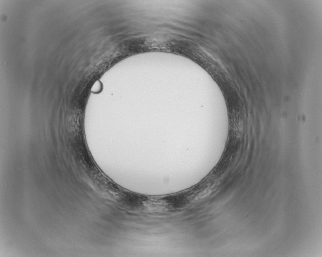 X0000088210603200706051259