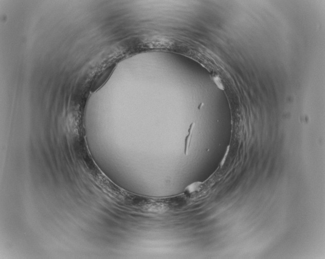 X0000088210604200706051259