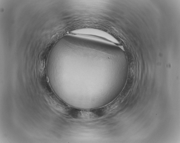 X0000088210605200706051259