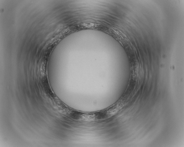 X0000088210606200706051259