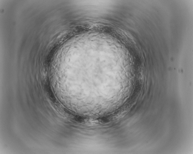 X0000088210607200706051259