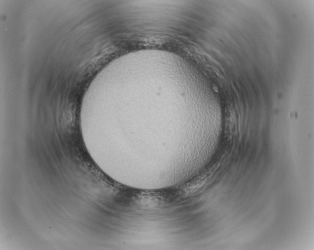 X0000088210608200706051259