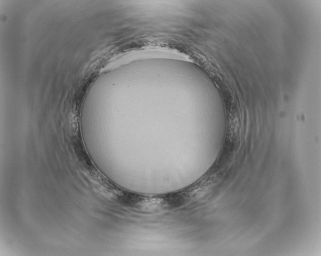 X0000088210609200706051259