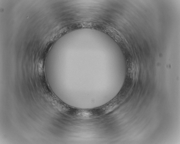 X0000088210610200706051258