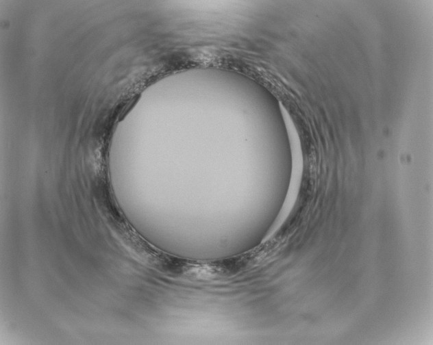 X0000088210611200706051258