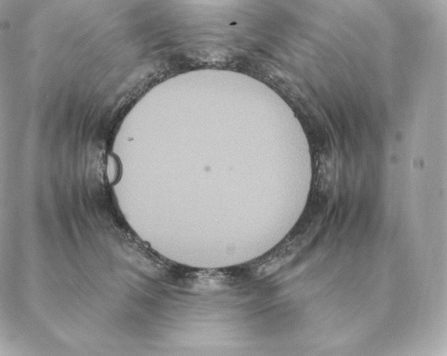 X0000088210612200706051258