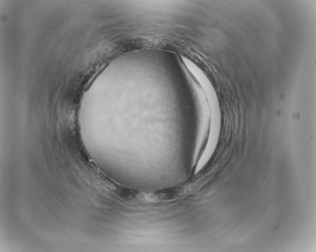 X0000088210613200706051258