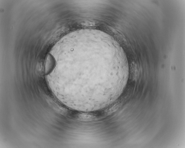 X0000088210614200706051258