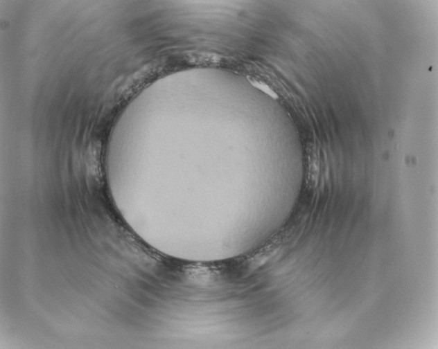 X0000088210616200706051258