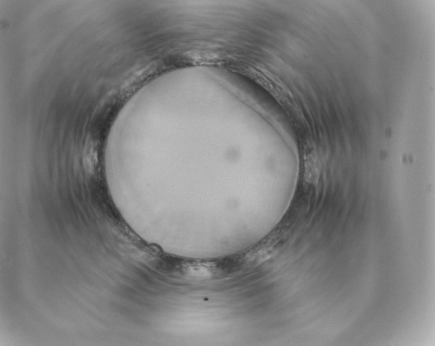 X0000088210618200706051258