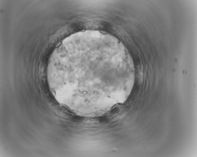 X0000088210619200706051258