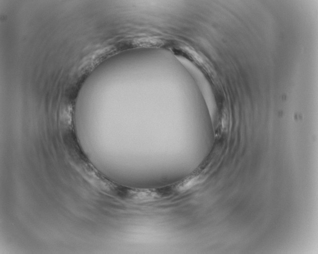 X0000088210621200706051258