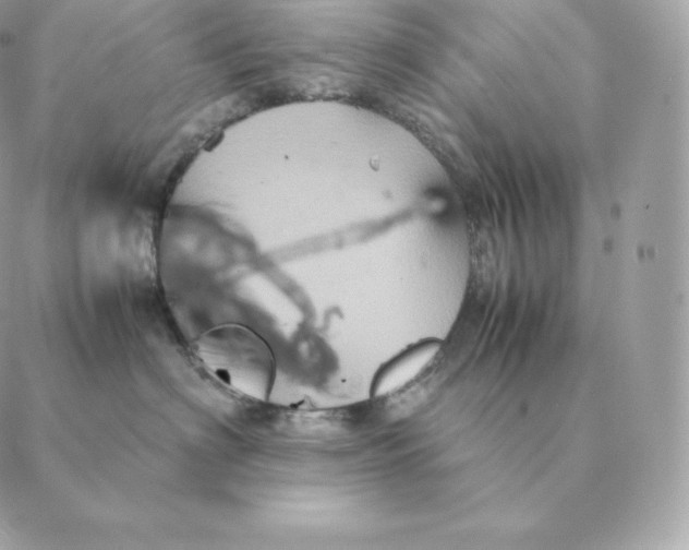 X0000088210622200706051258