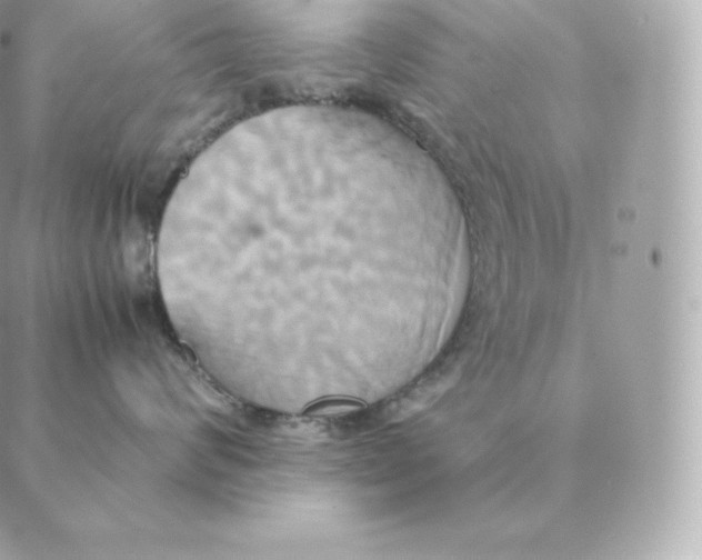 X0000088210624200706051258