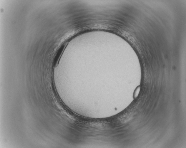 X0000088210625200706051257