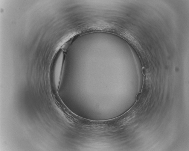 X0000088210626200706051257