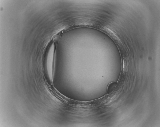 X0000088210627200706051258