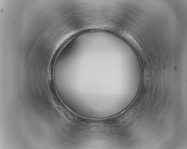 X0000088210628200706051258