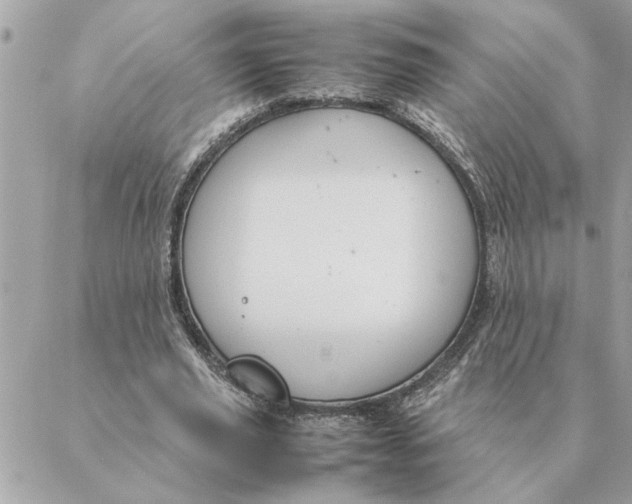 X0000088210629200706051258