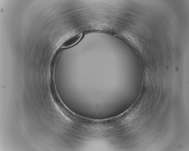 X0000088210630200706051258