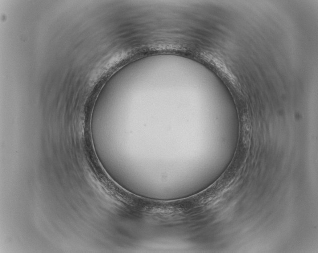 X0000088210631200706051258