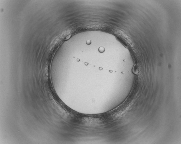 X0000088210633200706051258