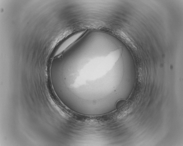 X0000088210634200706051258