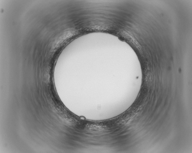 X0000088210635200706051258