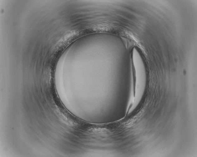 X0000088210637200706051258