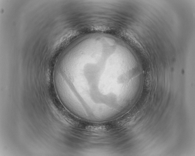 X0000088210639200706051258