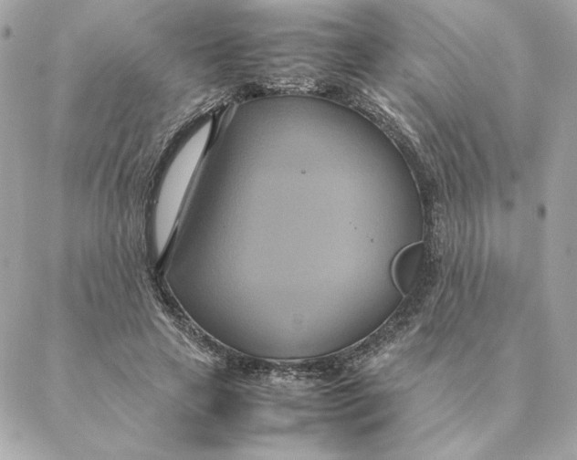 X0000088210641200706051258