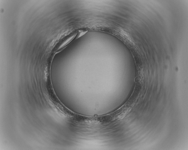 X0000088210644200706051258