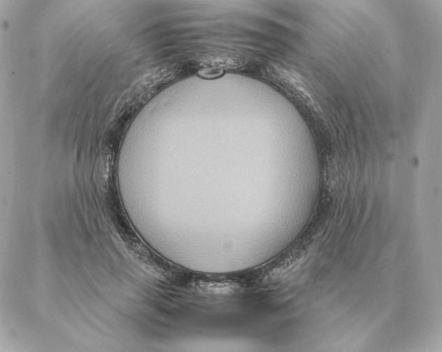 X0000088210645200706051258