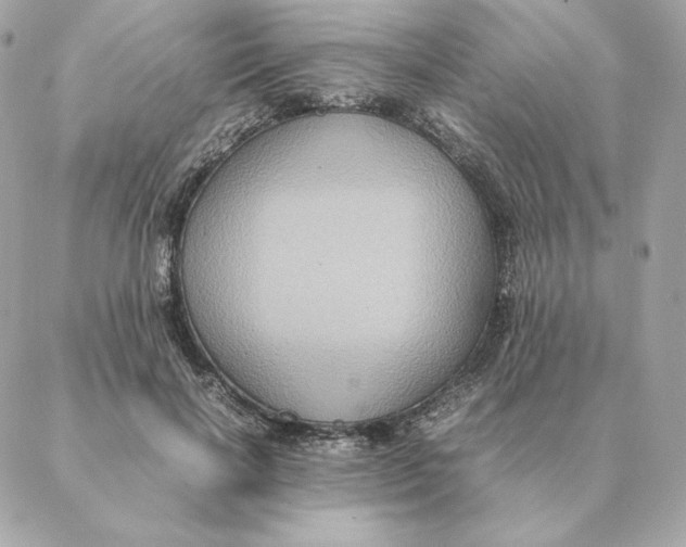 X0000088210646200706051258