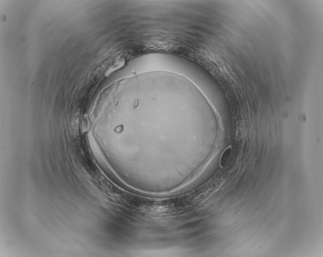 X0000088210647200706051258