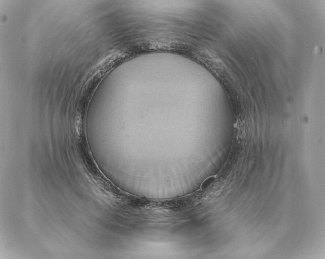 X0000088210648200706051258