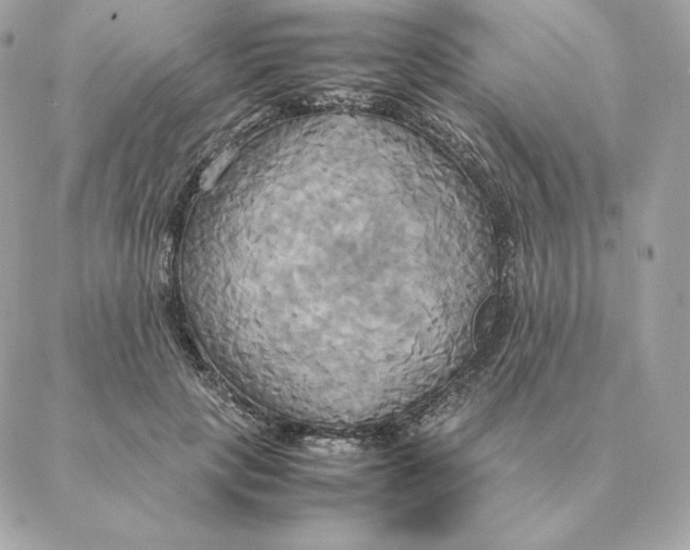 X0000088210649200706051258