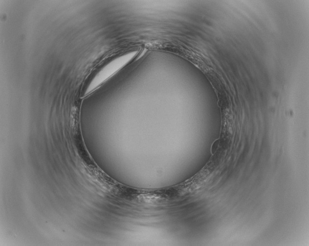 X0000088210650200706051258