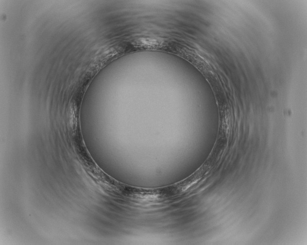 X0000088210651200706051258