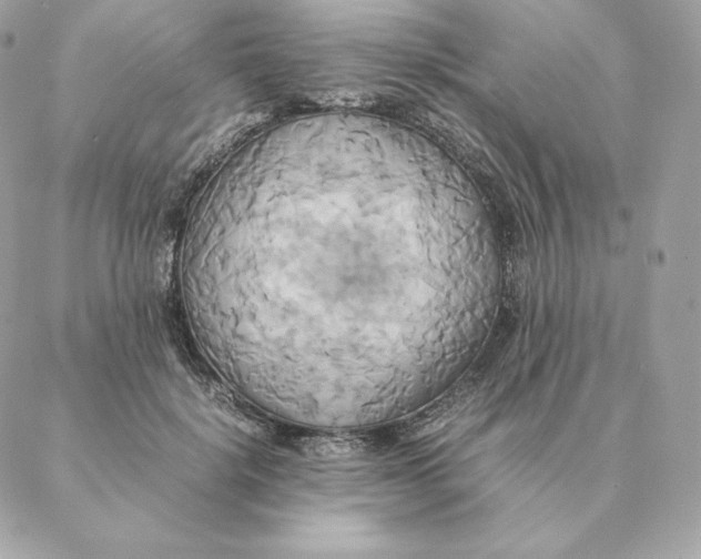 X0000088210652200706051258