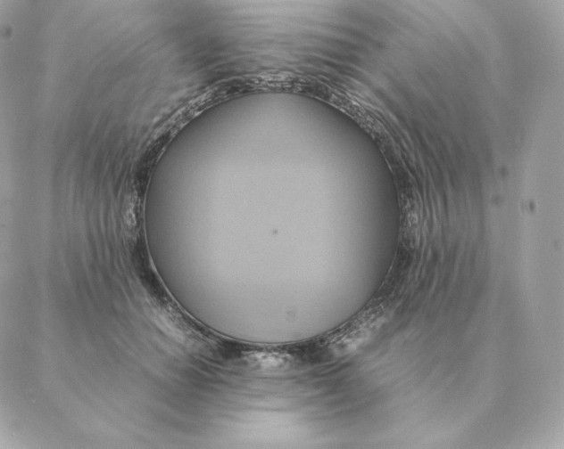 X0000088210654200706051258