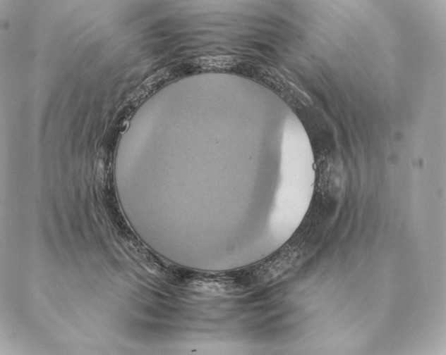 X0000088210655200706051258