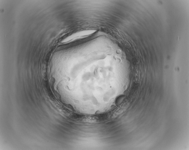 X0000088210656200706051258