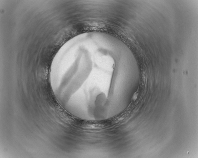 X0000088210657200706051258