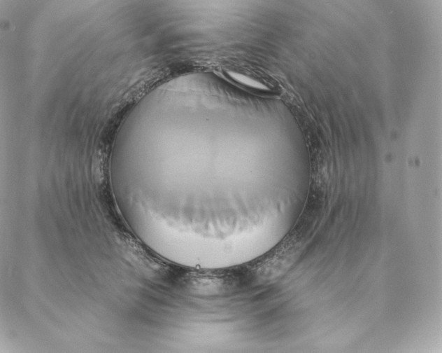 X0000088210658200706051258