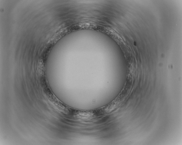 X0000088210659200706051258